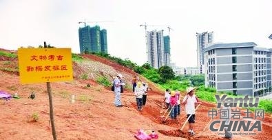 考古工作人員正在組織施工人員對(duì)未遭受破壞的墓葬地塊進(jìn)行發(fā)掘