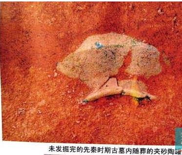 廣州官方回應(yīng)先秦古墓被毀深感痛心